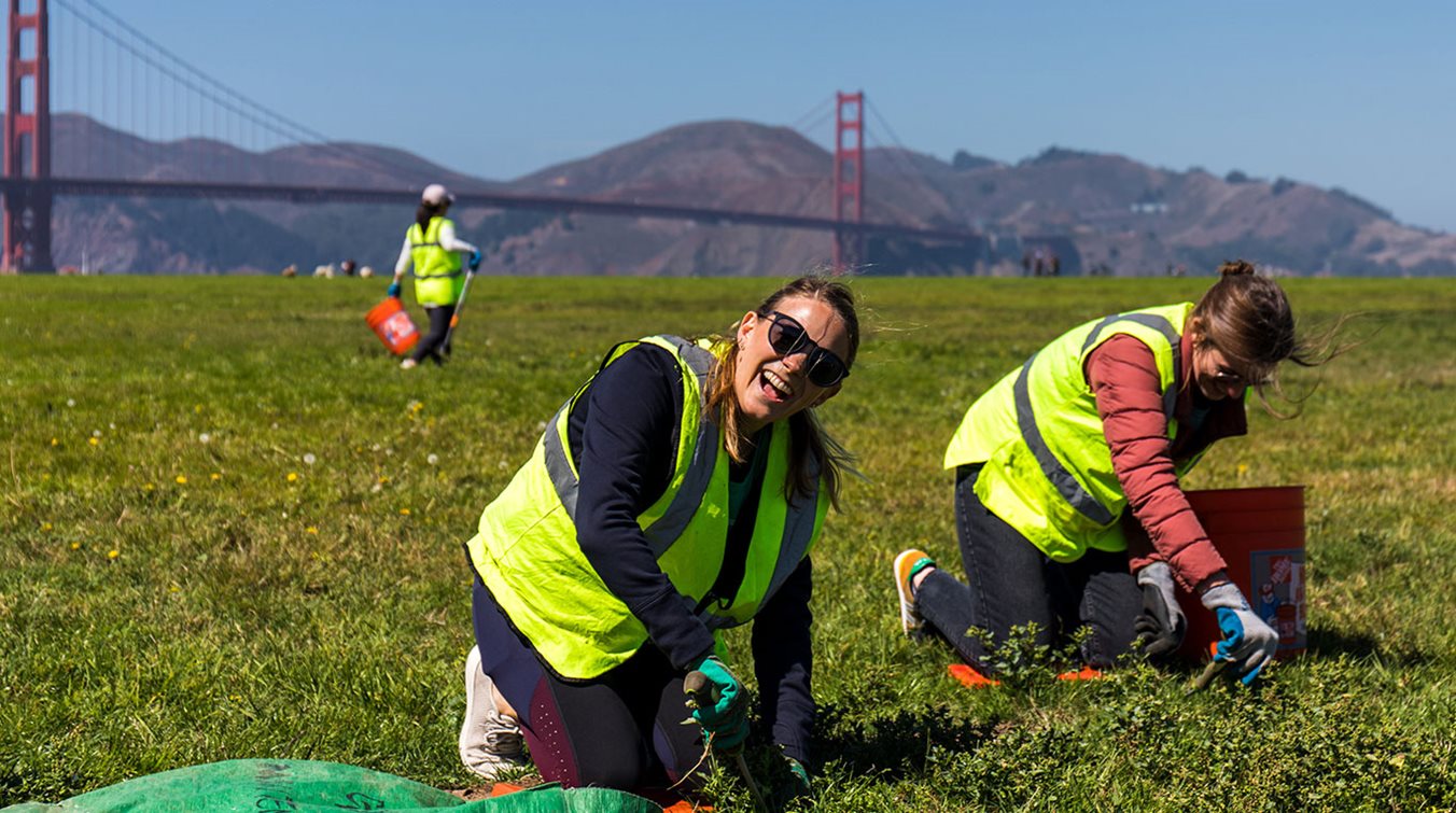 Volunteering at Crissy Fields 